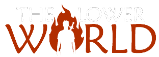 The Lower World
